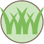 Yard Maintenance Pros