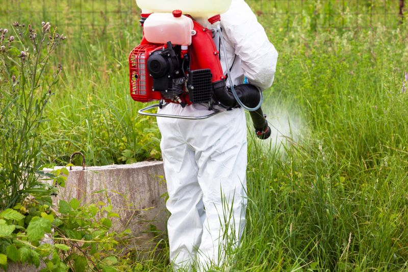 Crabgrass Prevention in Ventura County, CA