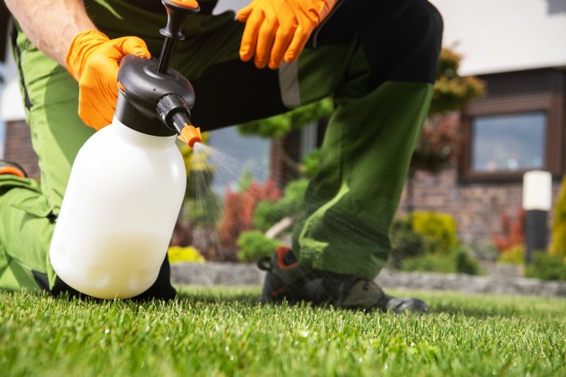 Crabgrass Prevention in Rockwall, TX