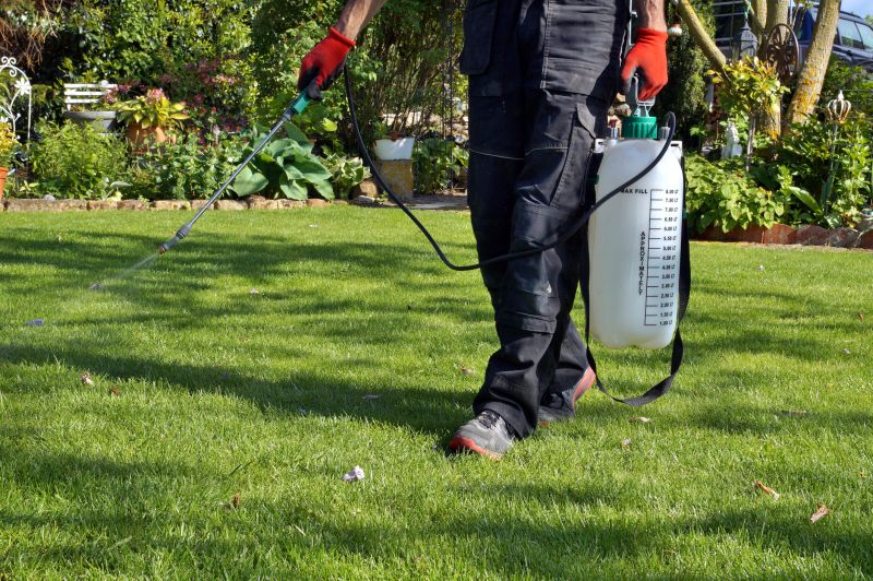 Crabgrass Prevention in Aiken, SC