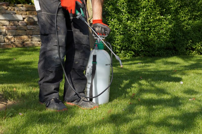 Weed Prevention Service in Rockwall, TX