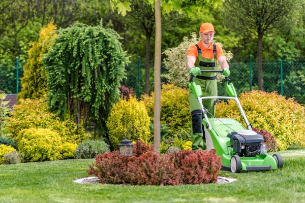 Monthly Lawn Care